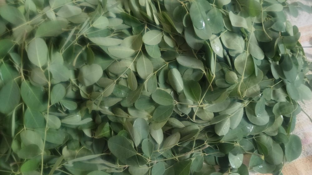 Dry Curry Leaves